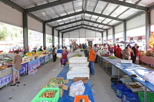 正式开放 张家口经开区这个便民中心有点不一样